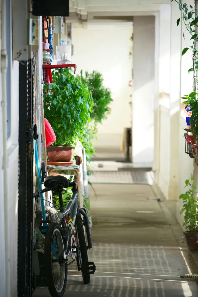 A bicycle parked indoors beside a houseplant, where a lithium battery should spend the time it is not being ridden